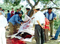 A�t Sa�da : Timechret pour conjurer le mauvais sort.